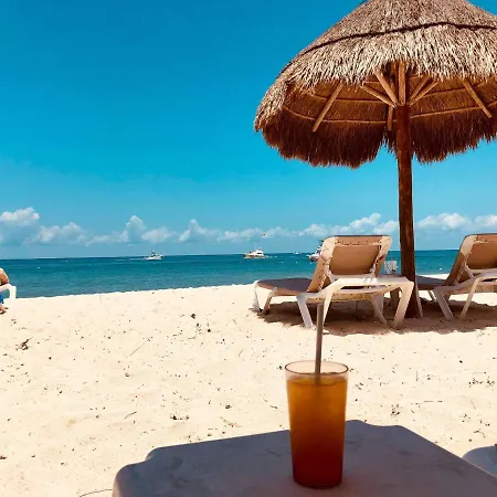 Beachfront 1br Centre - Palmeras Apartment *